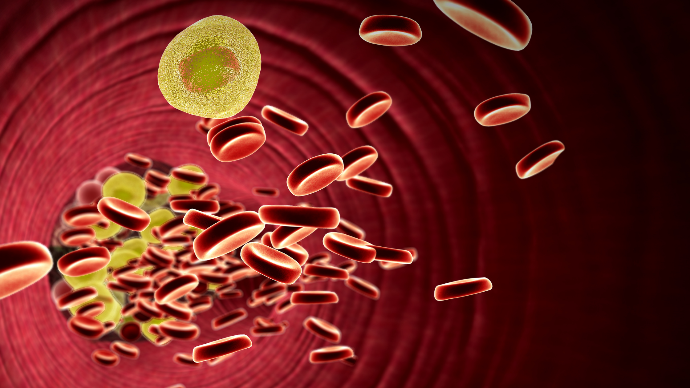 zuccheri nel sangue